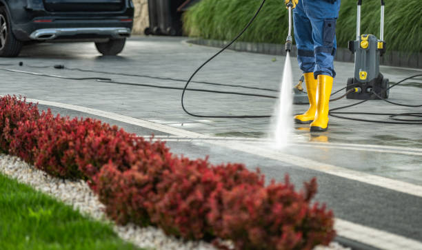 Best Driveway Pressure Washing  in Eddington, PA